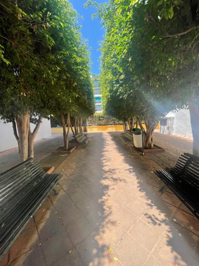 Apartamento Jardines Del Rocio Torre Del Mar Eksteriør billede
