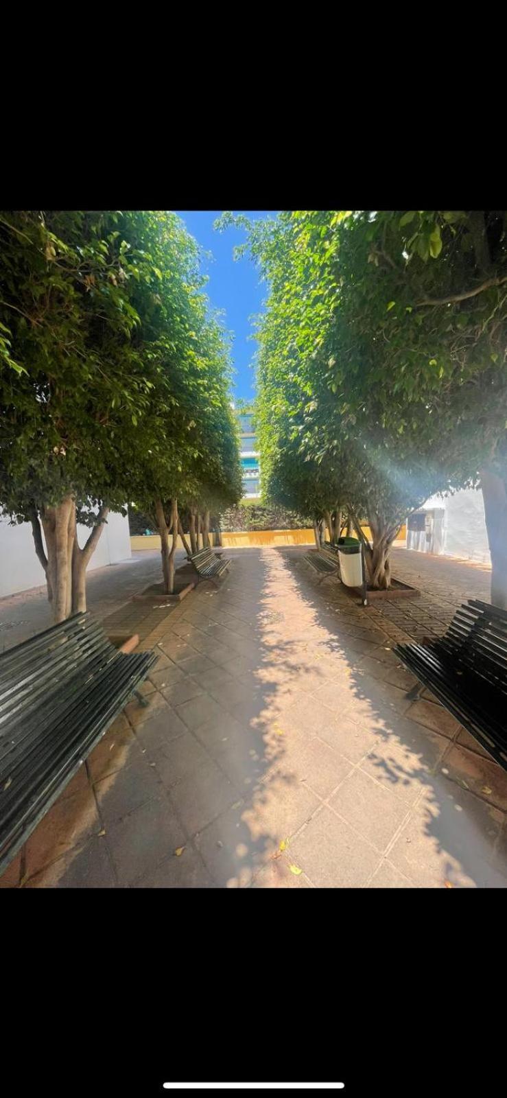 Apartamento Jardines Del Rocio Torre Del Mar Eksteriør billede