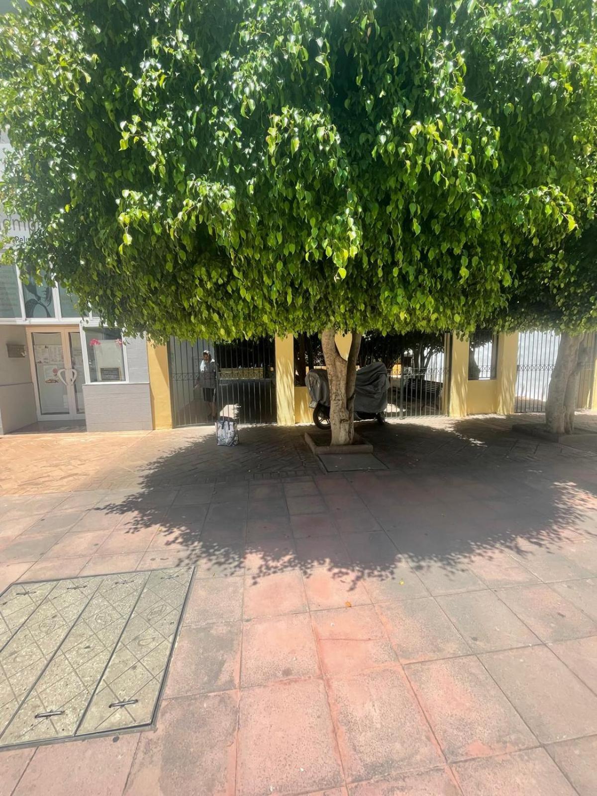 Apartamento Jardines Del Rocio Torre Del Mar Eksteriør billede